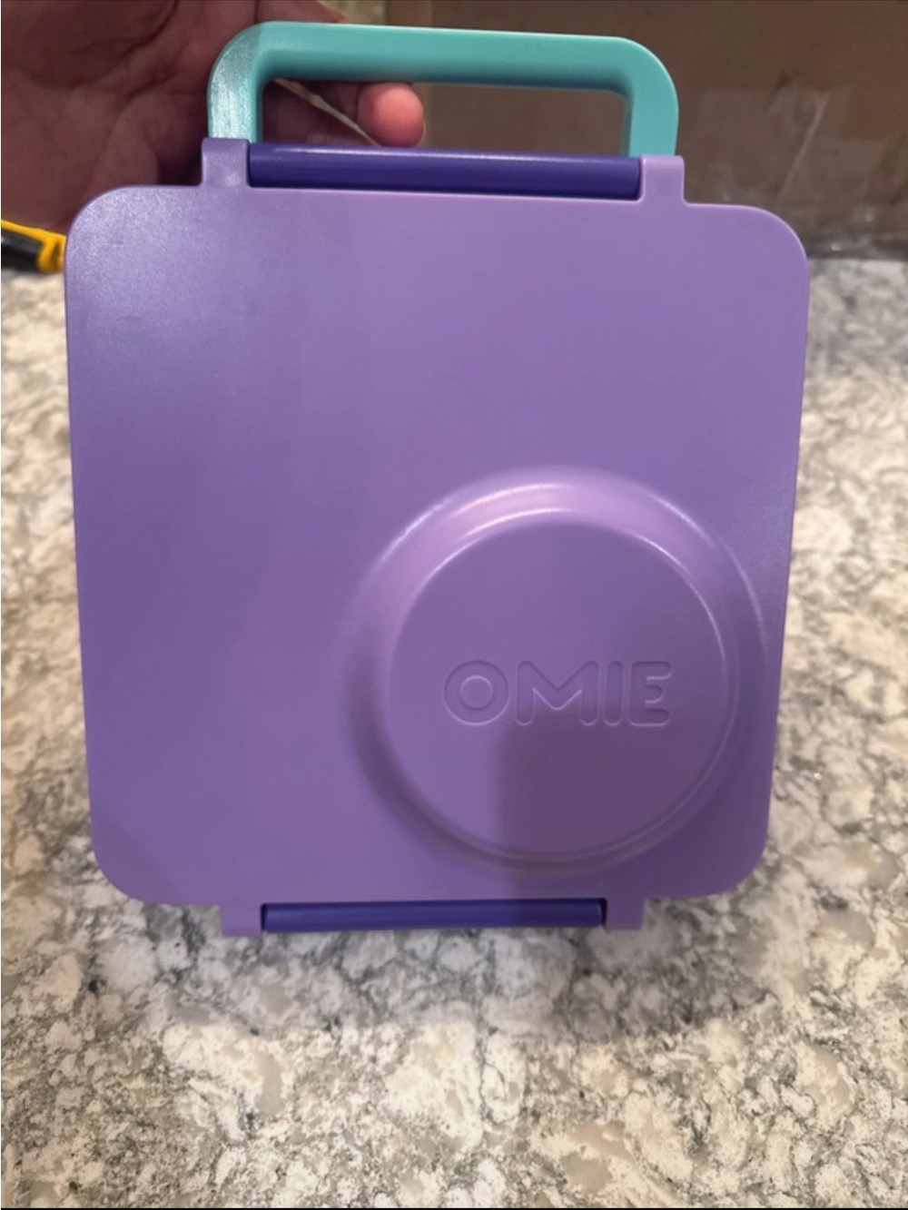 Omie Purple & Teal Portable Lunch Box with Built-in Bowl